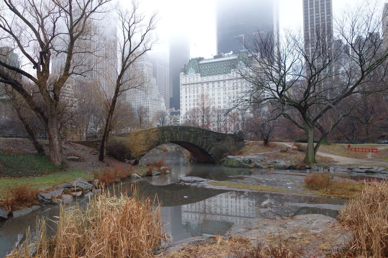 thegoodgarden|centralpark|NYC|4668.jpg