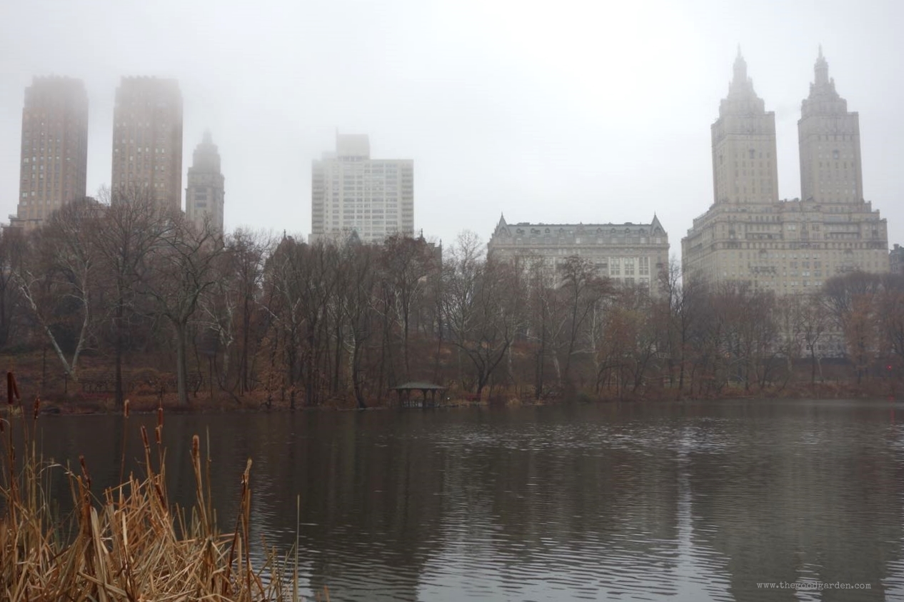 thegoodgarden|centralpark|NYC|4594.jpg