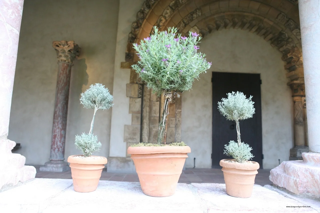 Inspiration from the Cloister