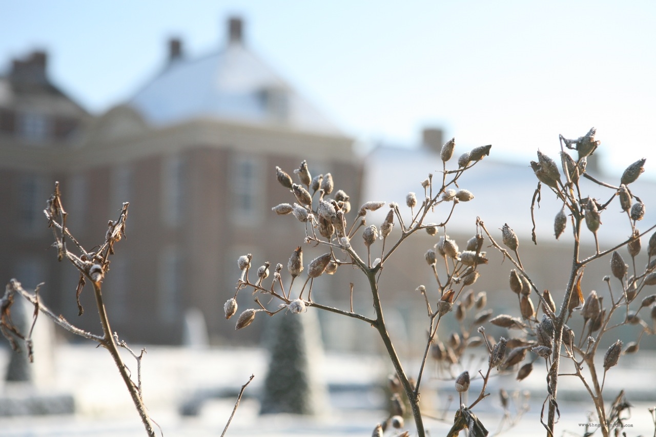 thegoodgarden|hetloopalace|winter|4655.jpg