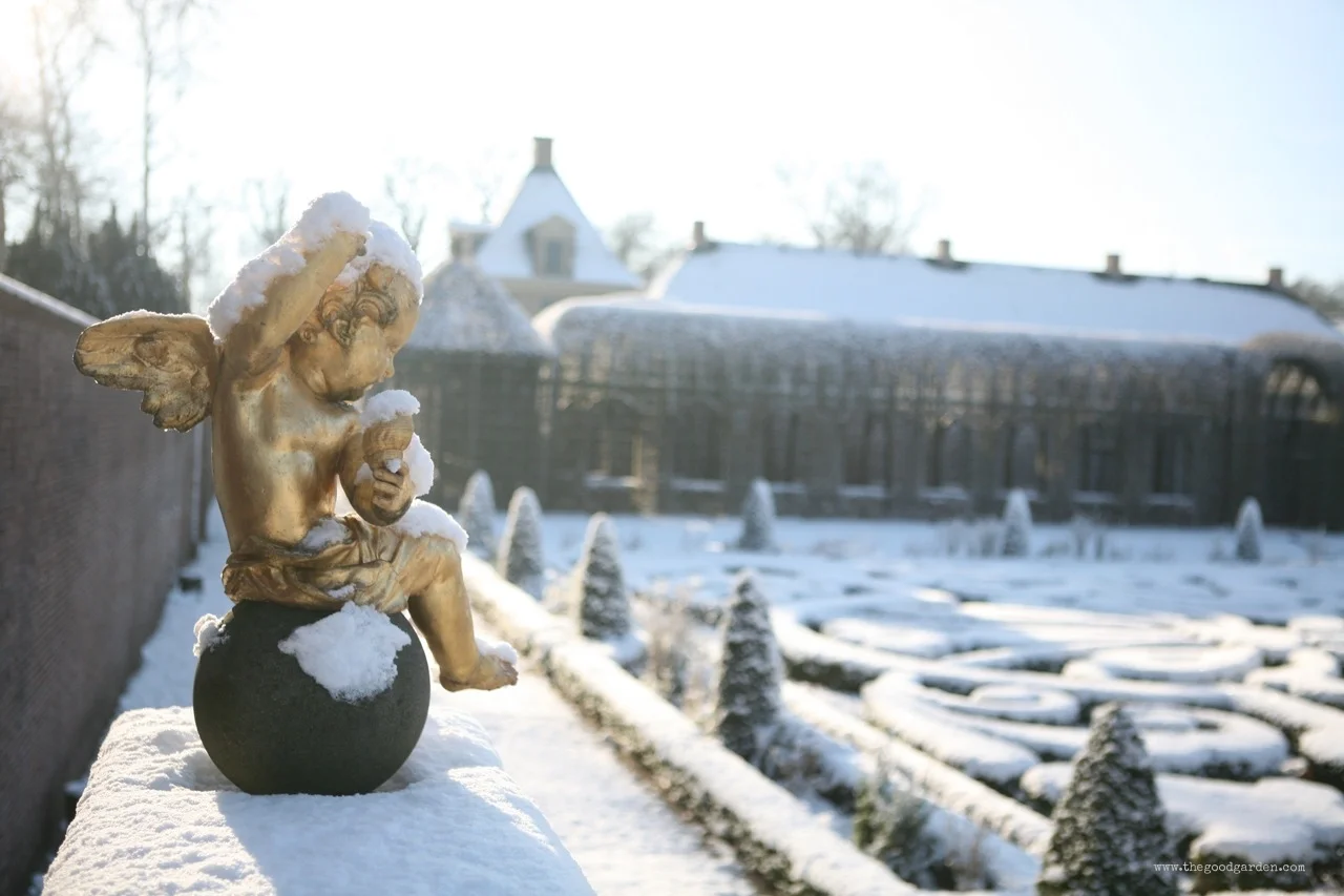 Never a bad day in the garden (Happy Holidays!)