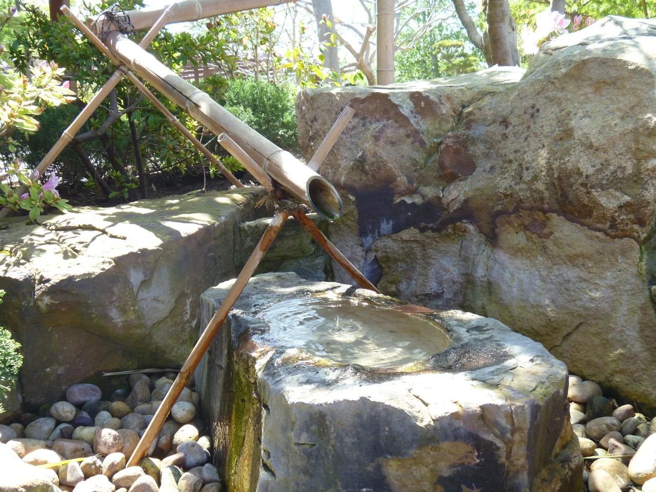 Details make the garden