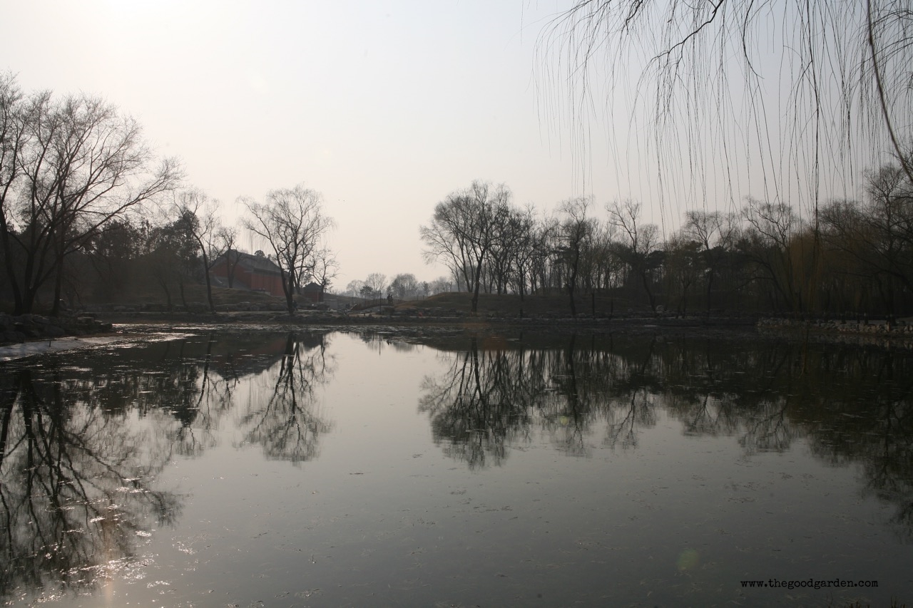 thegoodgarden|Beijing|summerpalace|445.jpg