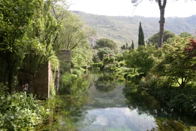 Happy Valentine's Day from Ninfa