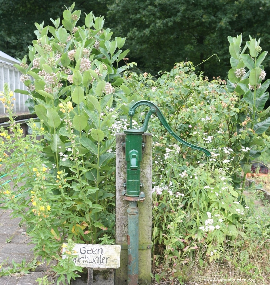  The next time we complain about carrying heavy&nbsp;hoses around our garden, remember the days when watering meant using a hand pump as well. &nbsp;This one in the cutting garden at the Outdoor Museum, The Netherlands. 