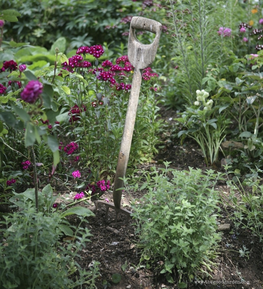  The workhorse of garden tools, the shovel. &nbsp;This one from&nbsp;Hidcote. 