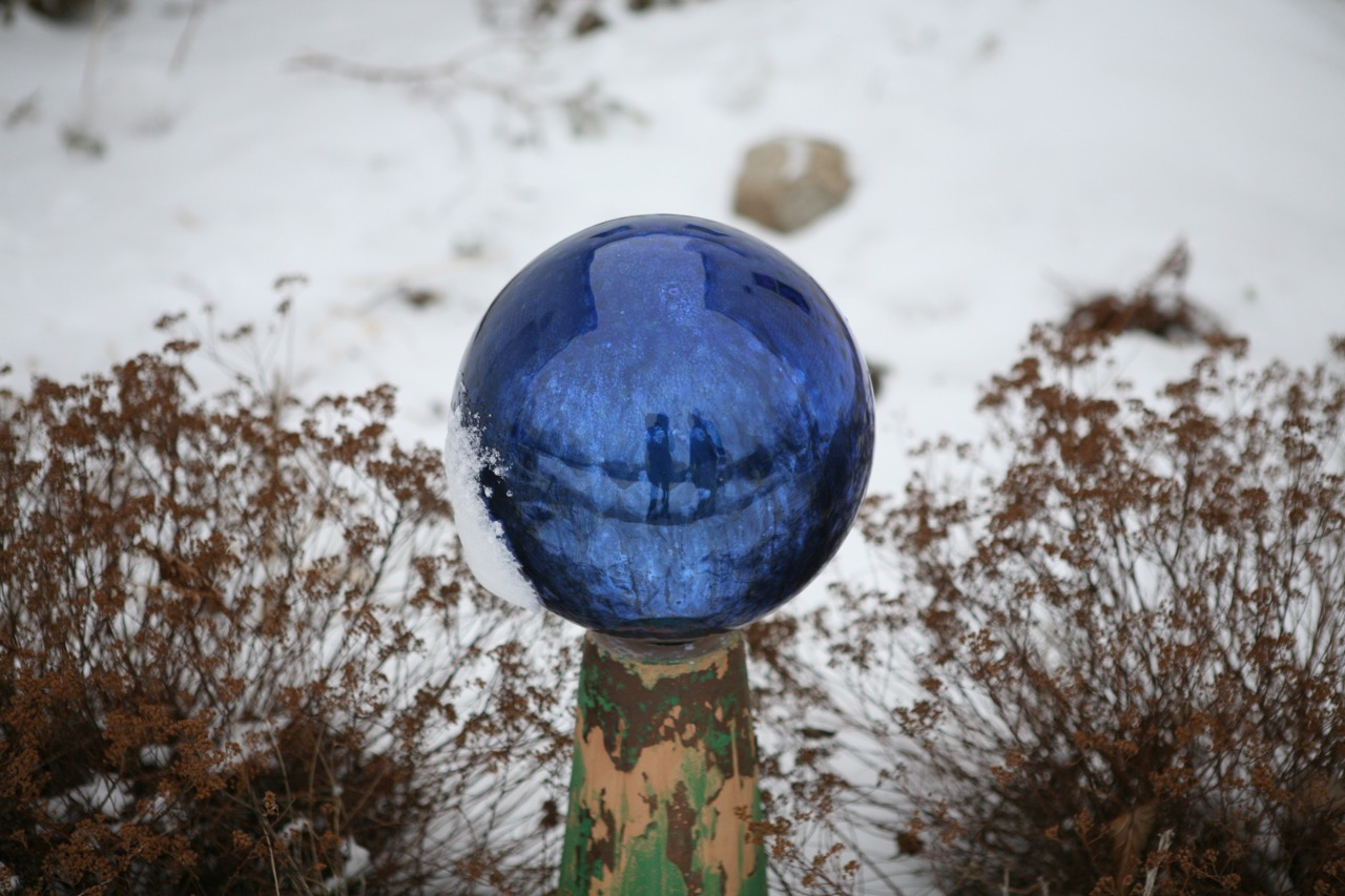  A vintage reflecting ball ornament lights up Jim's&nbsp;winter garden. 