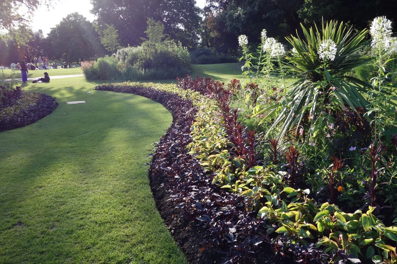 This example of "ribbons" of annuals required the ability to propagate plants in large quantities. Hyde Park, London.