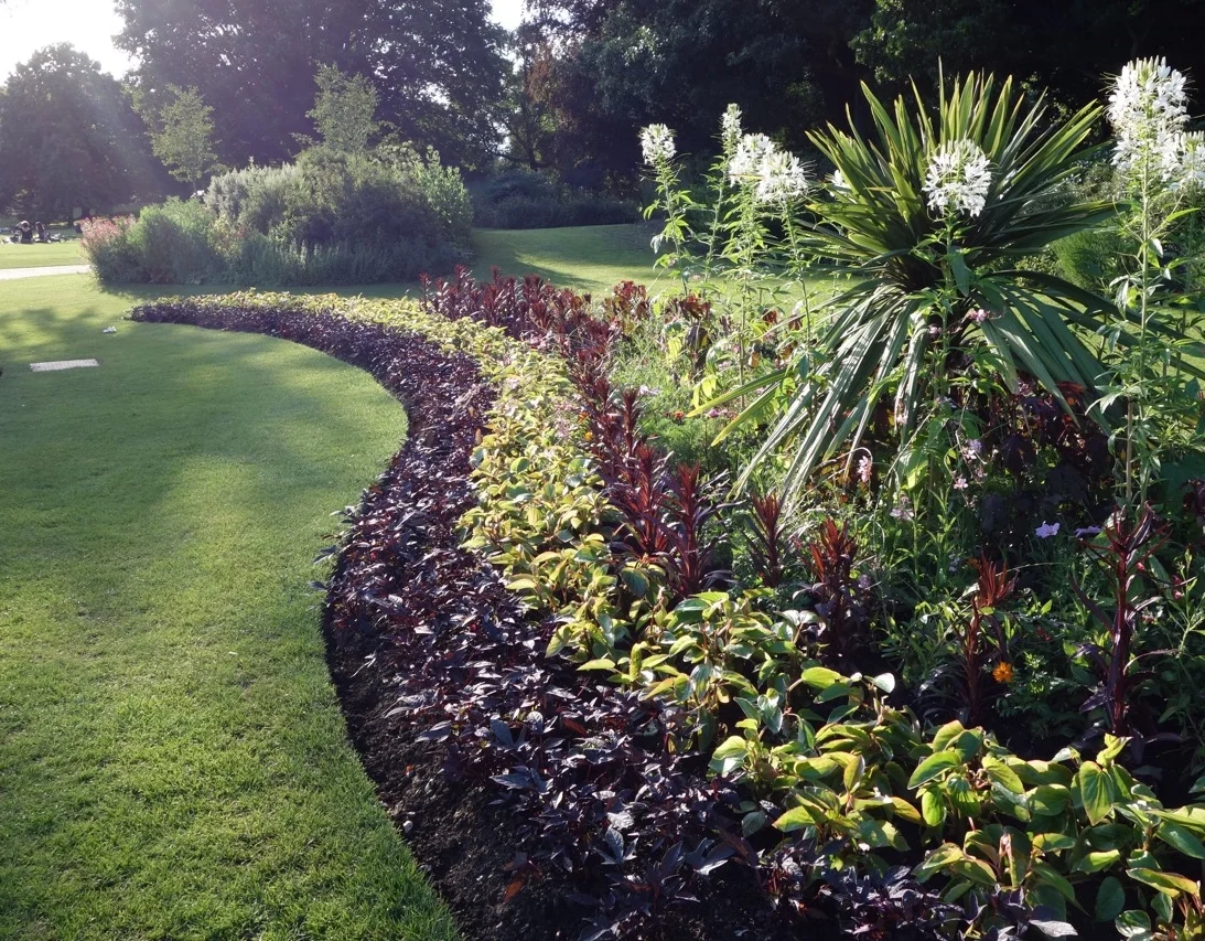 Controversy in the garden, 1882