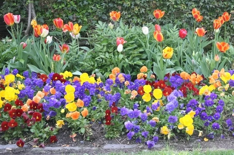 thegoodgarden|dumbartonoaks|beatrixfarrand|1757b.jpg