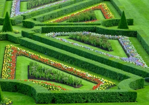 Scandal in the garden