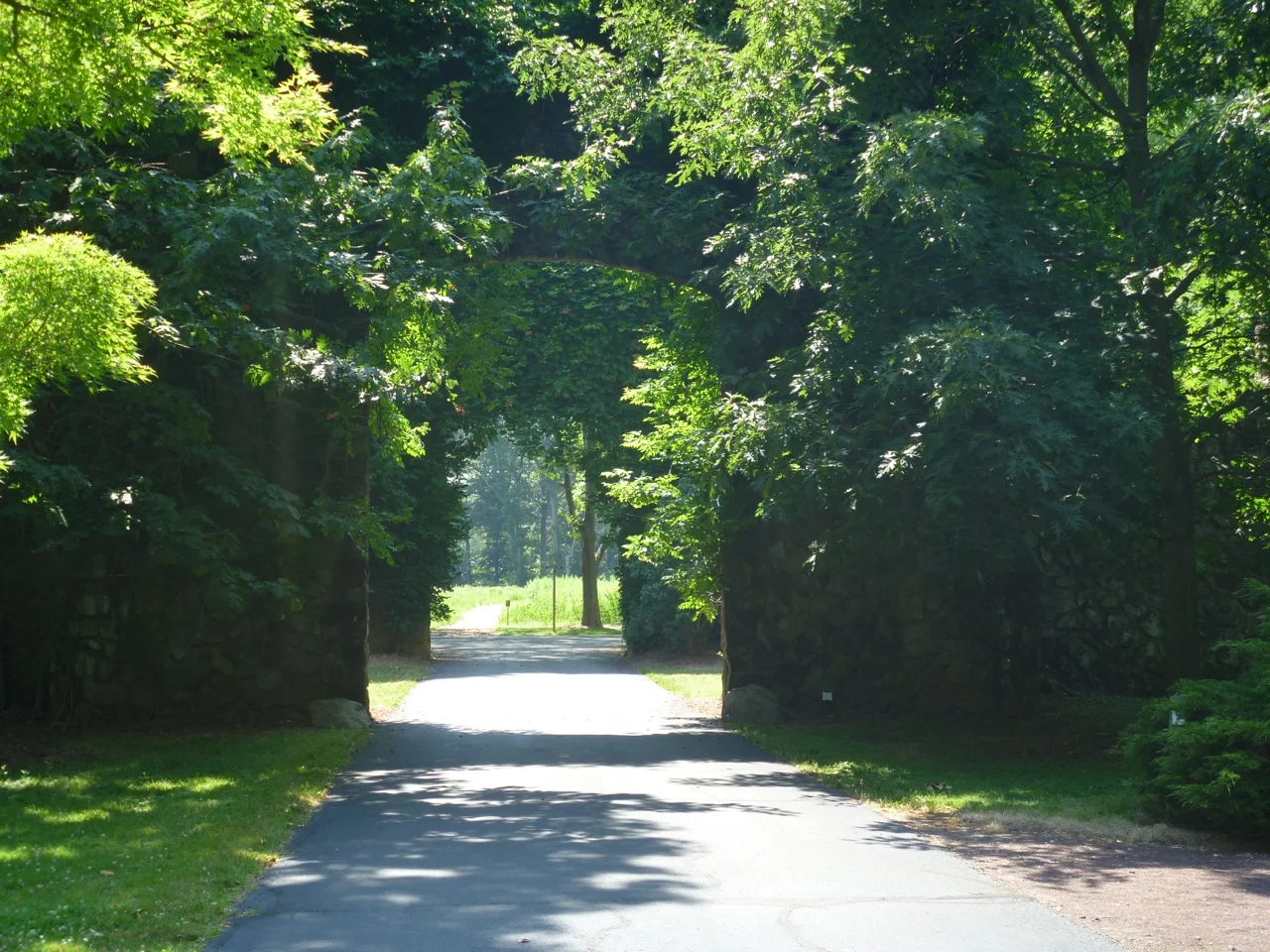 thegoodgarden|dukefarms|0593.jpg