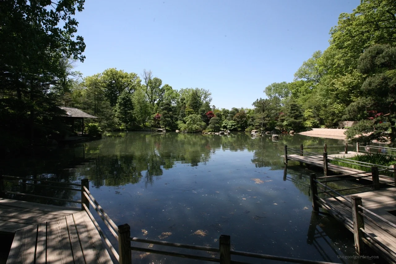 thegoodgarden|andersongarden|6655.jpg