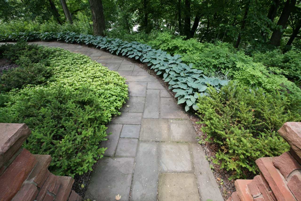    Stone pillars and a pair of yews mark the entrance to a section of the garden.&nbsp; Ribbons of blue hosta     and pachysandra echo and soften the curve of the path.     