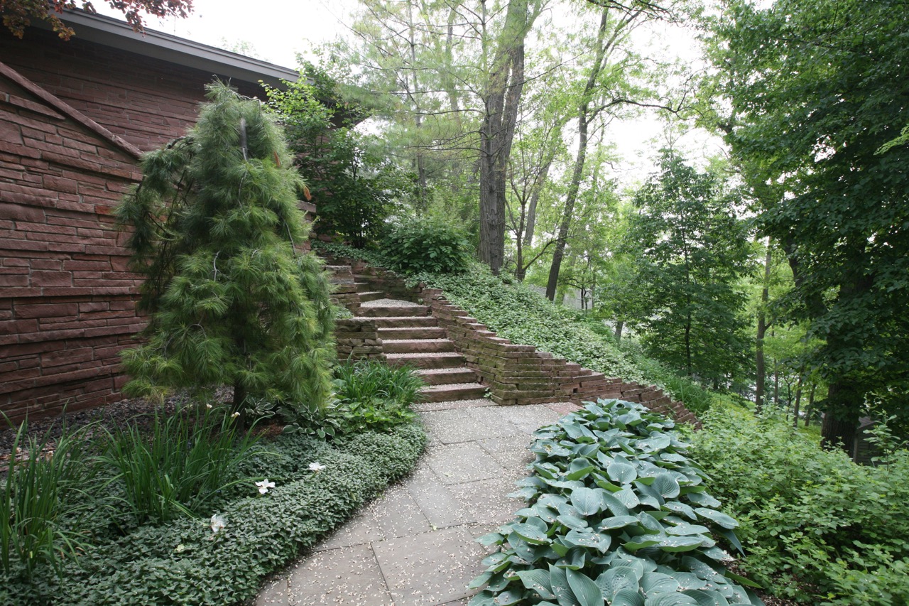    A weeping white pine completes a wonderful visual triangle with the winding stone stairs, blue   hosta  , and   L  amium  .&nbsp;    