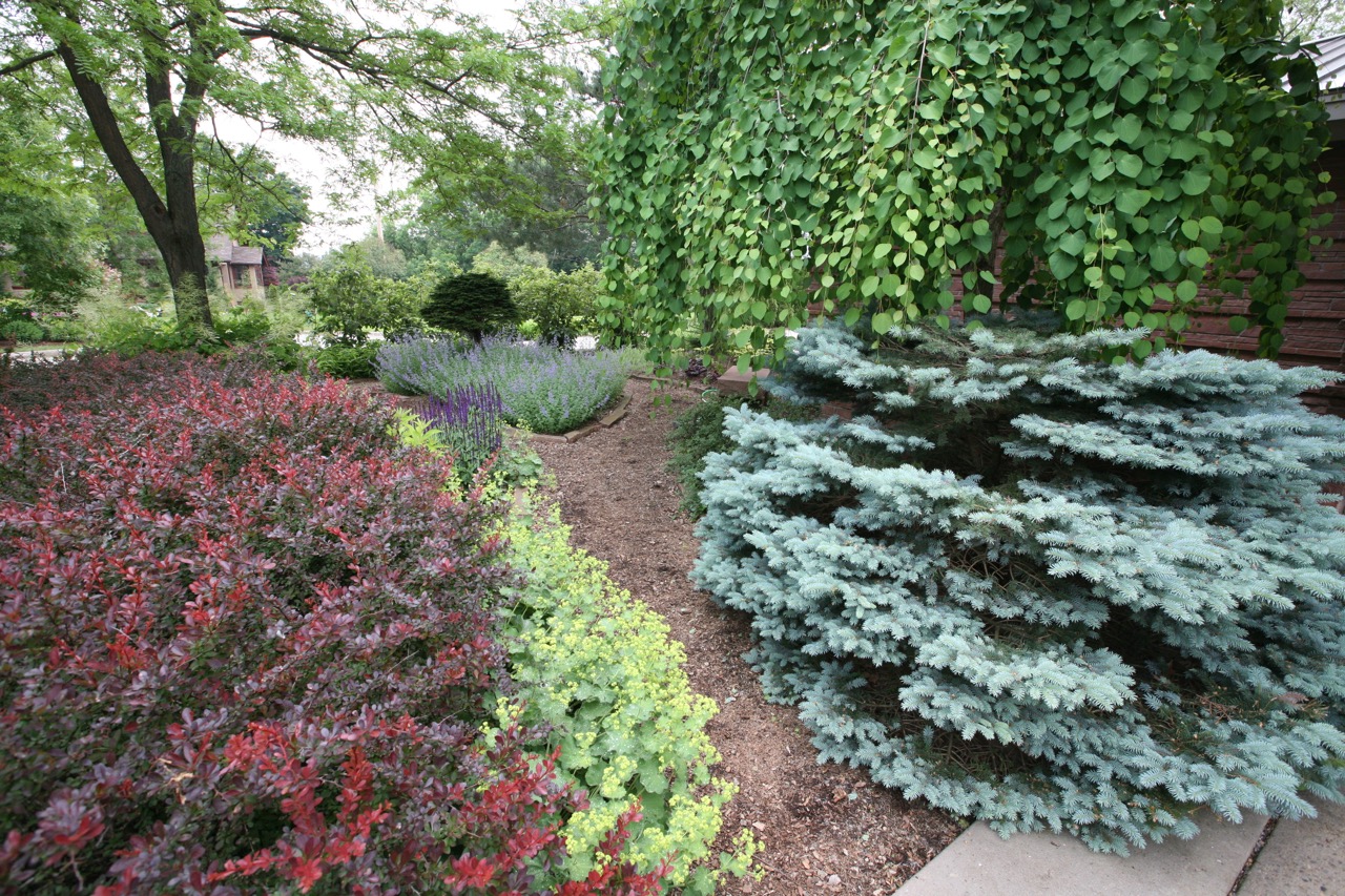    A split in the garden path adds interest, a choice, and also serves a practical purpose of making it easier to maintain the beds.     