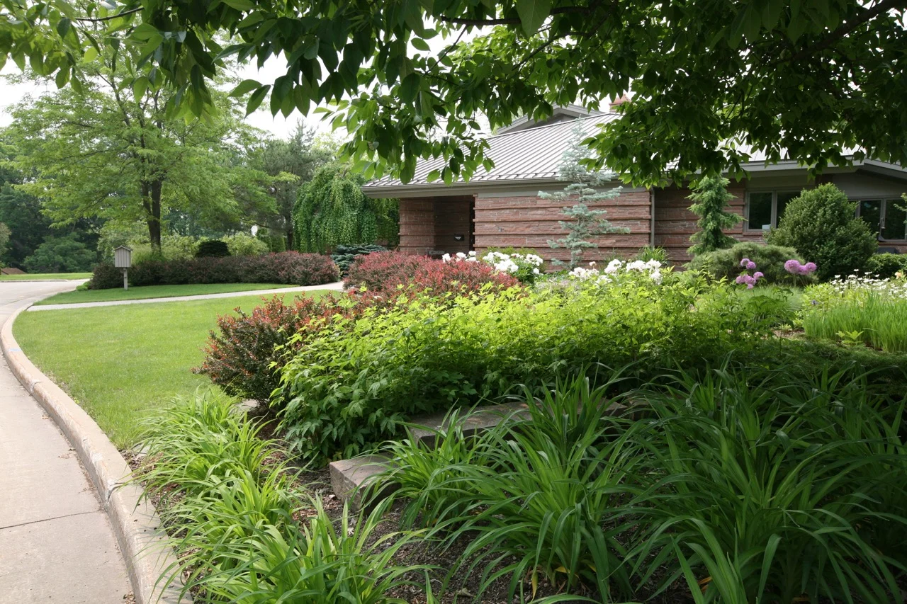 The front garden can be seen from down the street; it draws you in with a warm welcome. A barberry hedge marks the beginning of the planted garden.