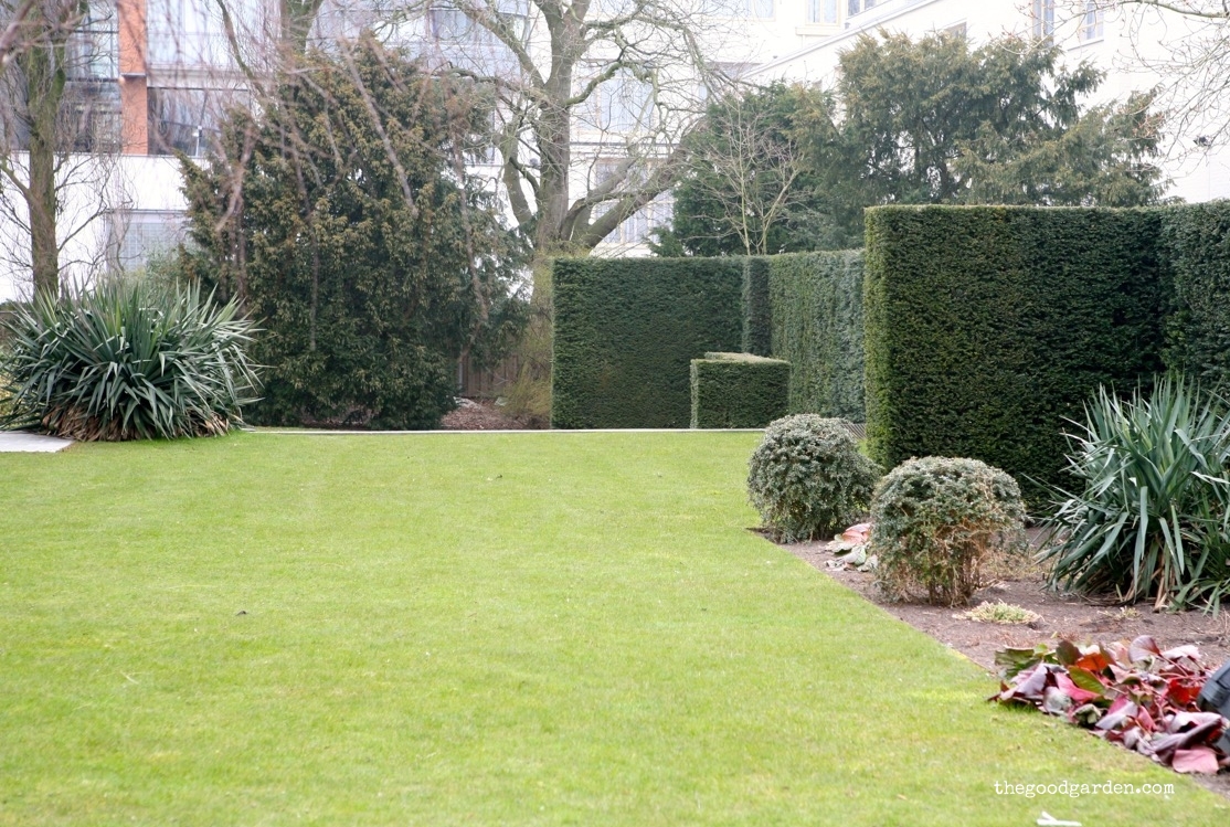  A frosty winter day highlights the structure of the side garden. &nbsp;Blocks and globes. 