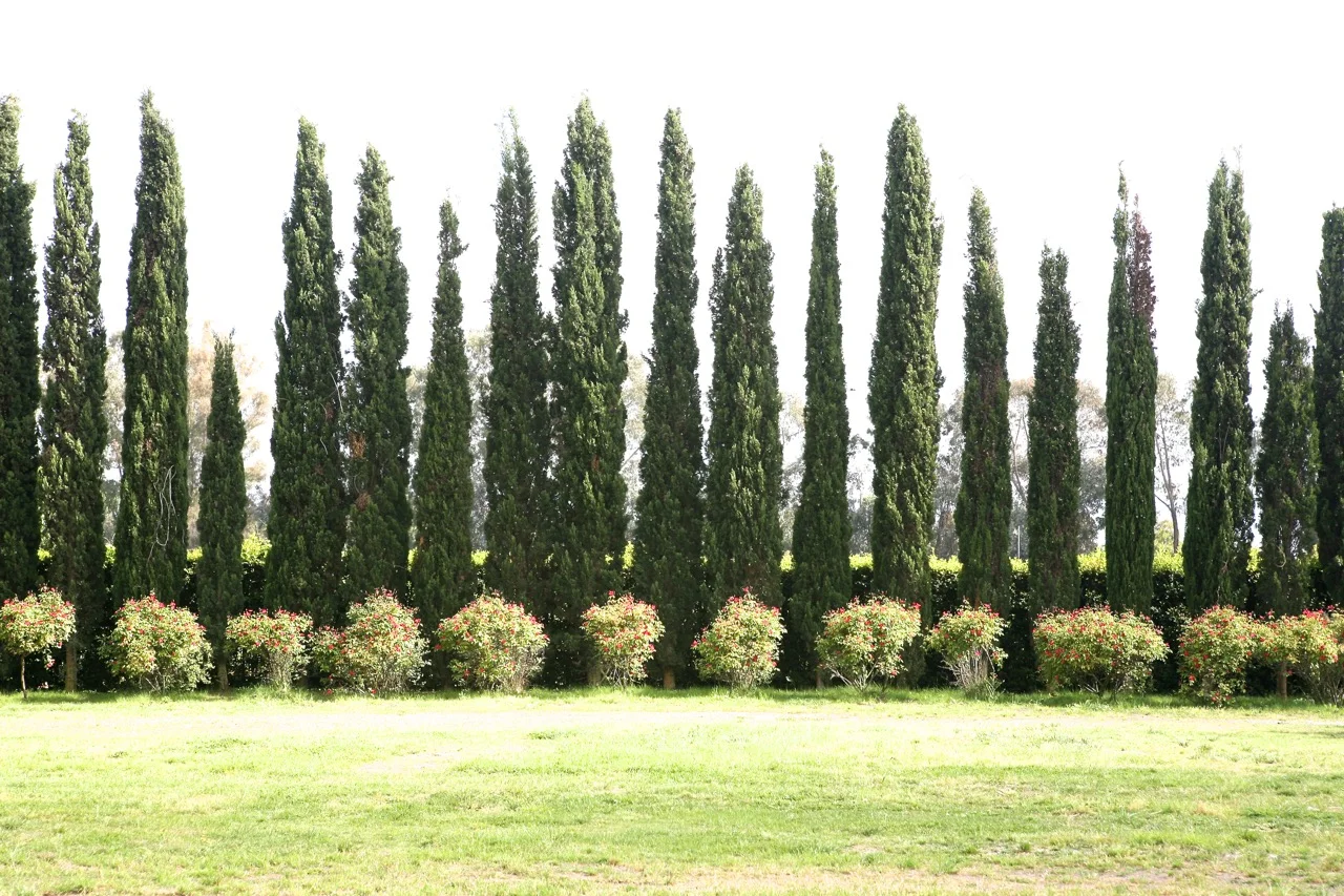 Back border at Russell Page's Giardini della Landriana.
