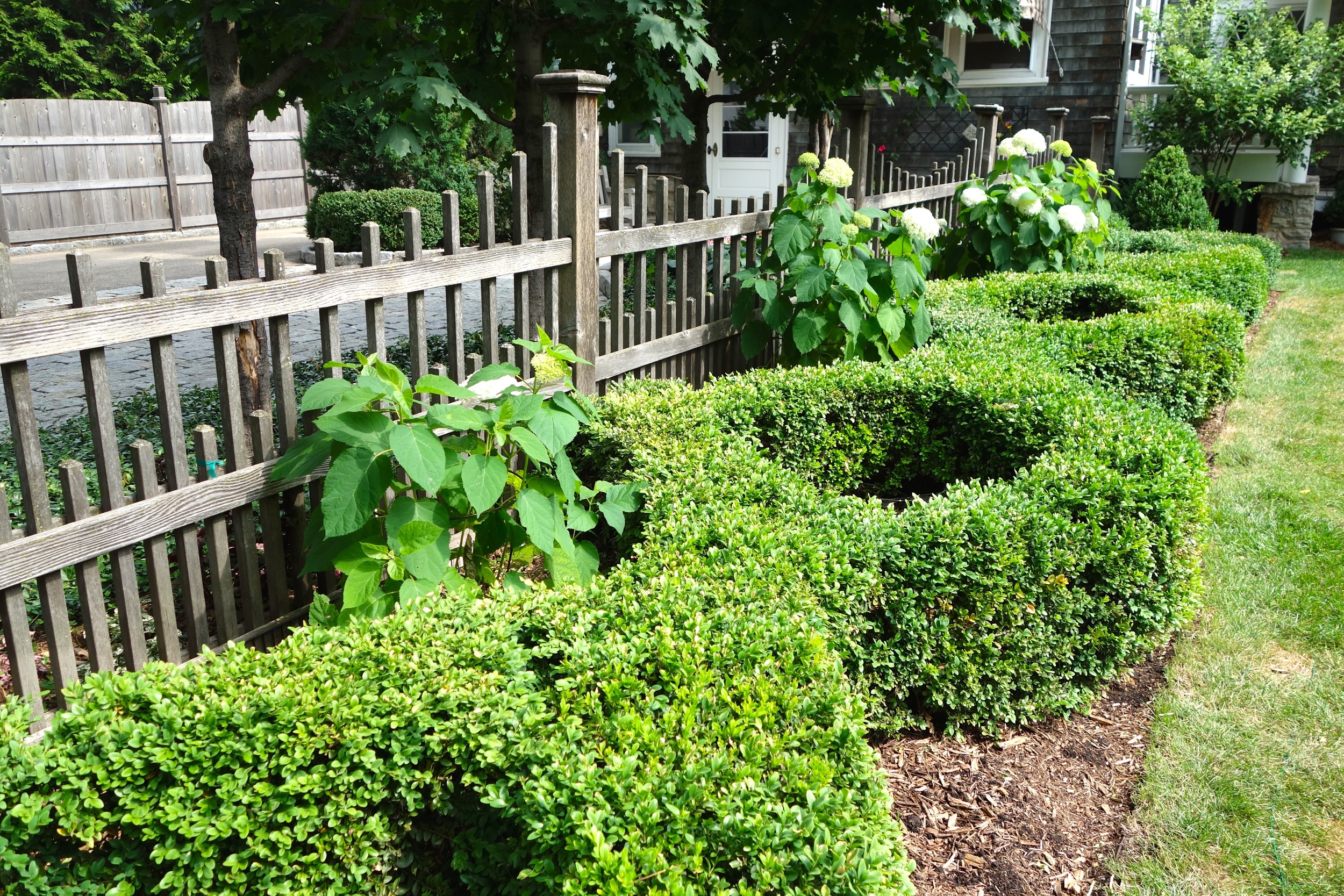   This diamond pattern boxwood hedge makes a bold statement.    