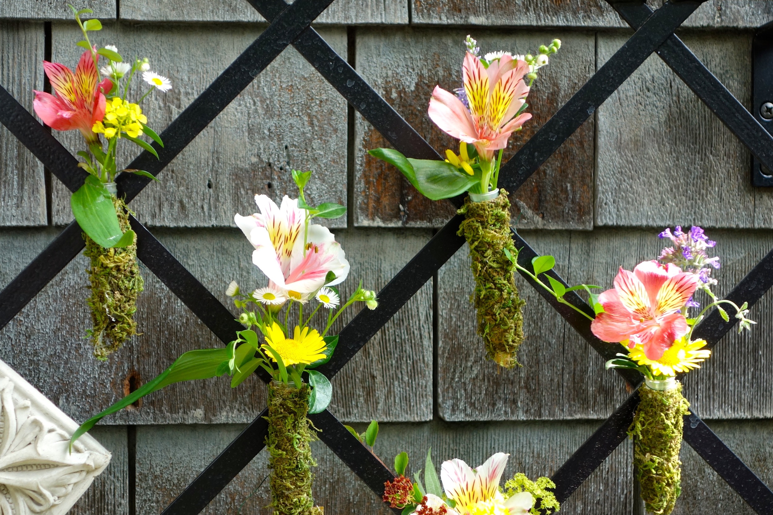   Mini bouquets including flowers from the garden adorn the trellis in the Belgian block garden.    