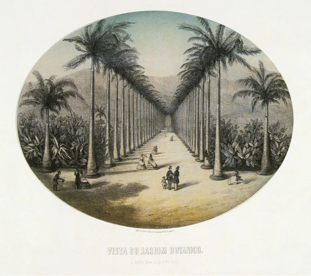 Post card circa 1856. Likely author P. G. Bertichem. Source: Rio.com