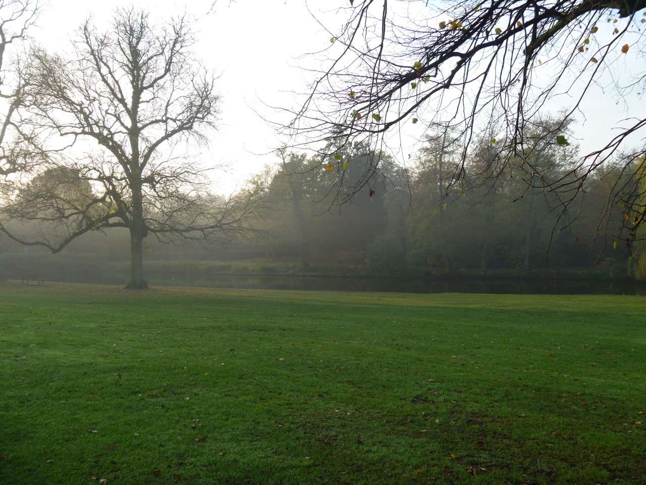 The lawn slopes down to the man-made river. This "new" feature added in the early 1700's when the garden was redone in the landscape style.