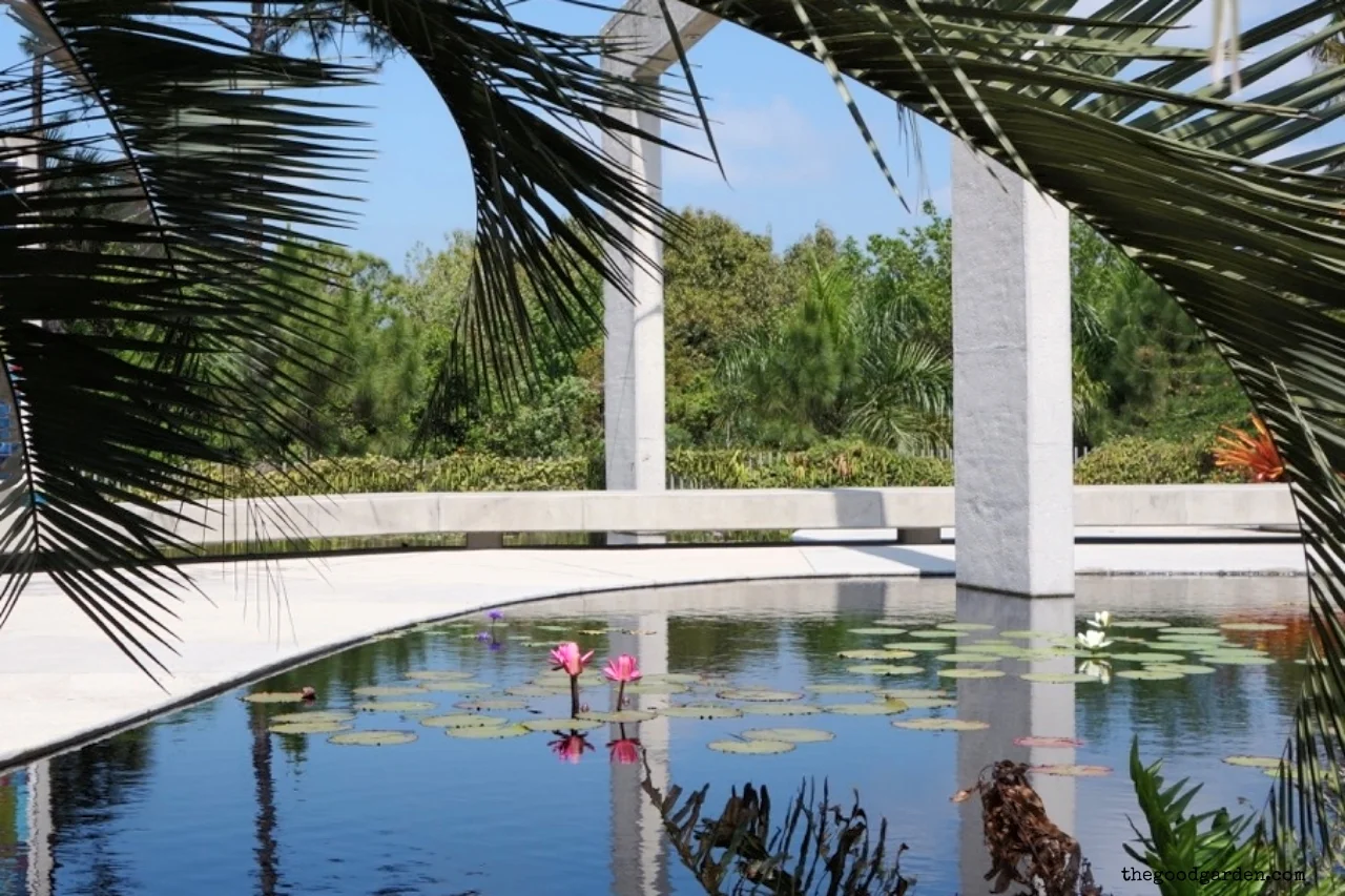 davidcalle|thegoodgarden|naplesbotanicgarden05623.jpg