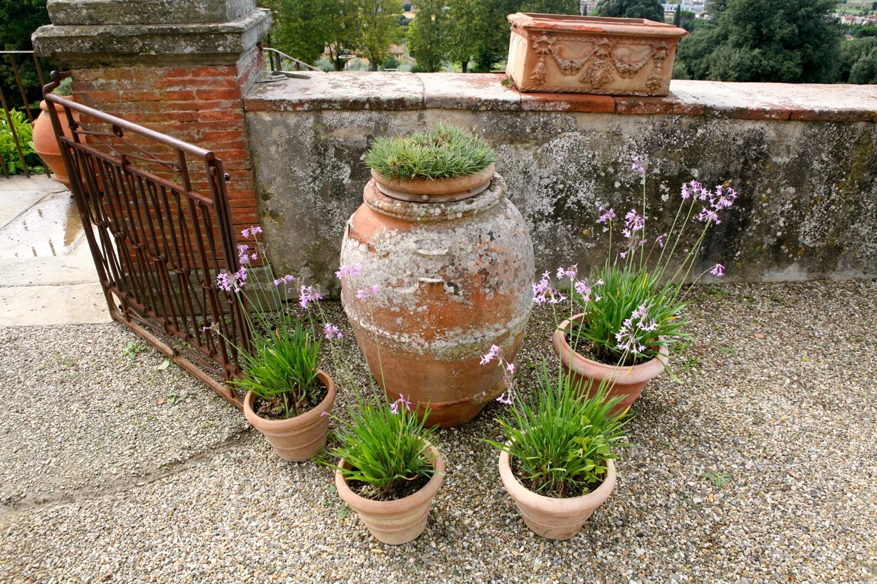 thegoodgarden|villa|Petraia|italy|0935.jpg