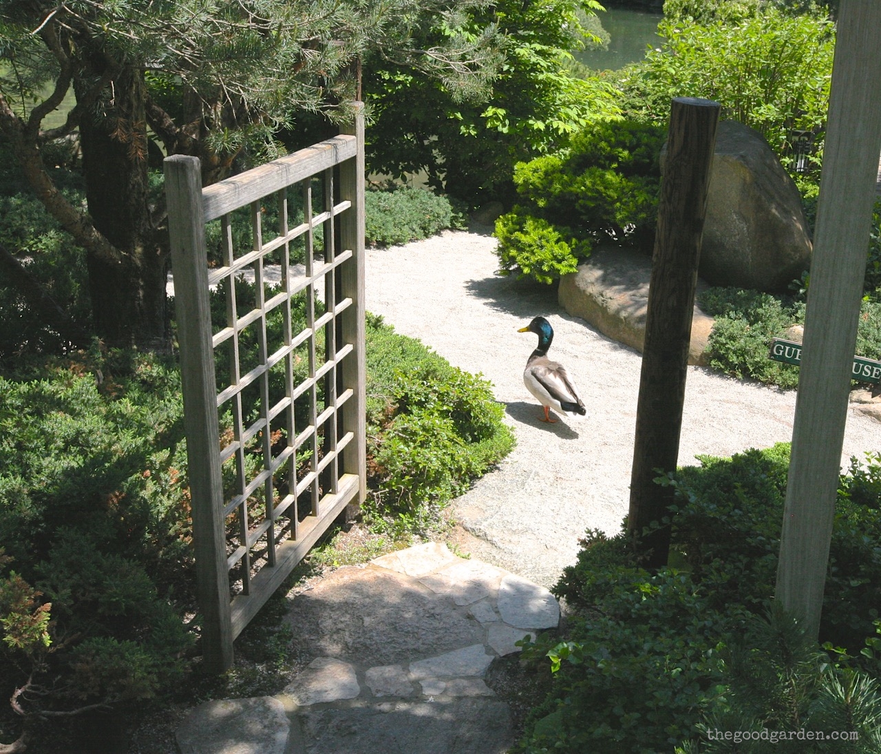 Anderson Japanese Gardens