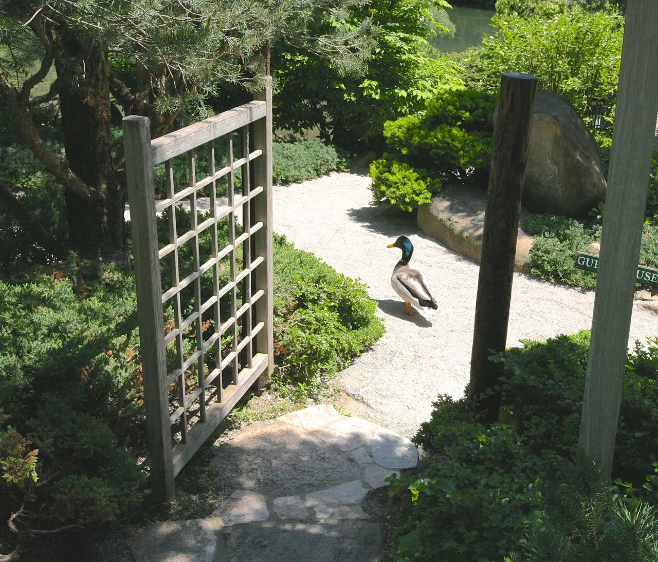 Invitation to a garden