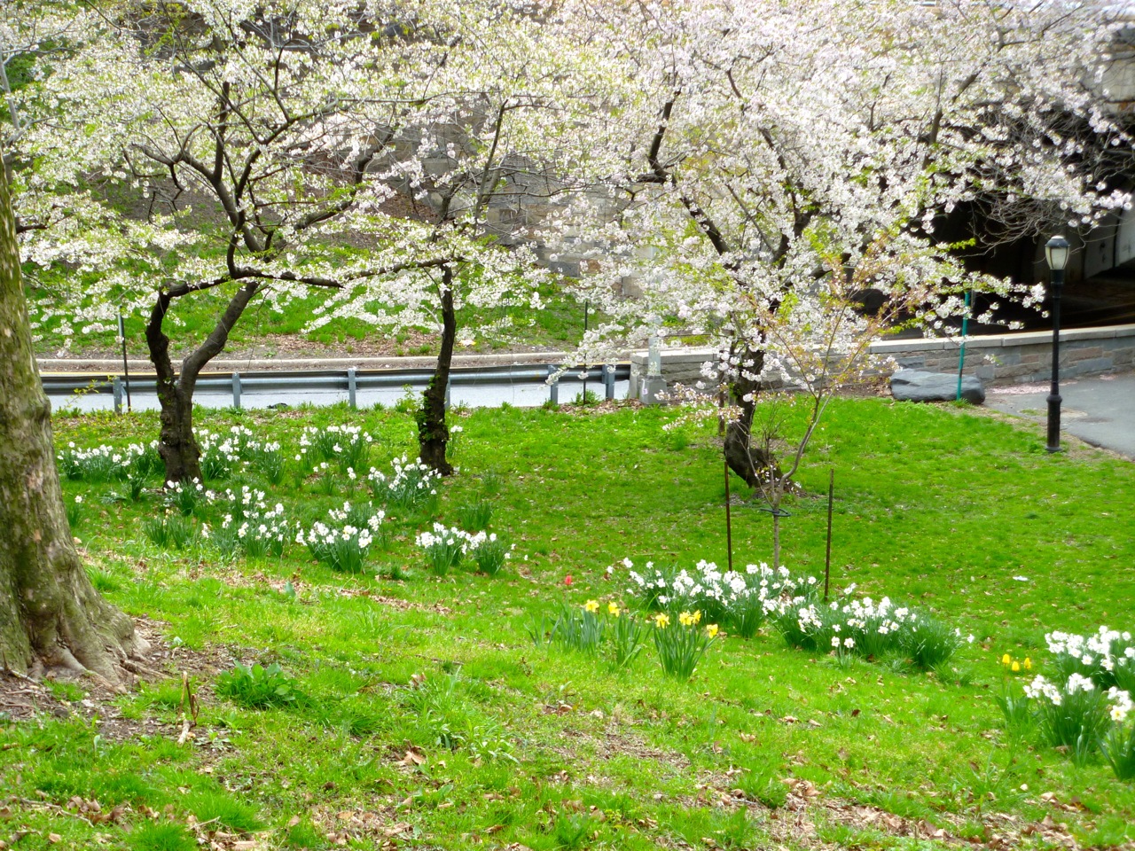 A section of Cherry Walk, Riverside Park, New York.