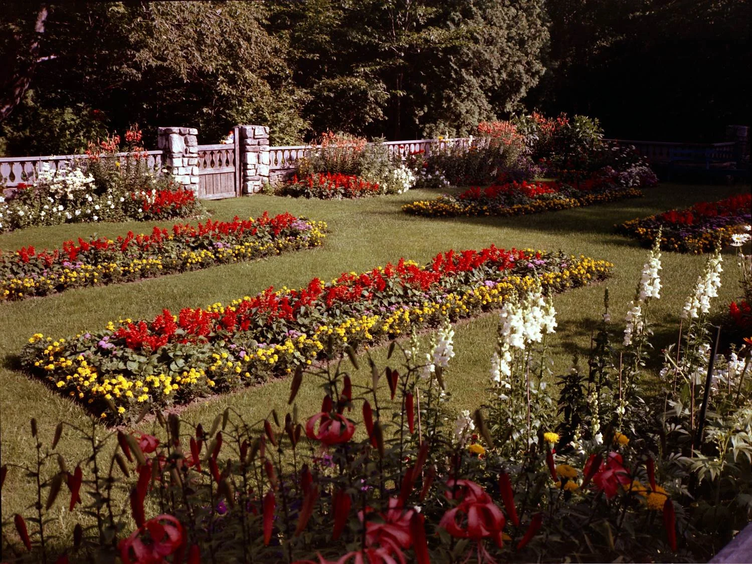 The garden was designed as a space to view tennis matches in the nearby grass courts. In the 1950’s, the garden was planted with annual flowers. Source: Lawrence University.