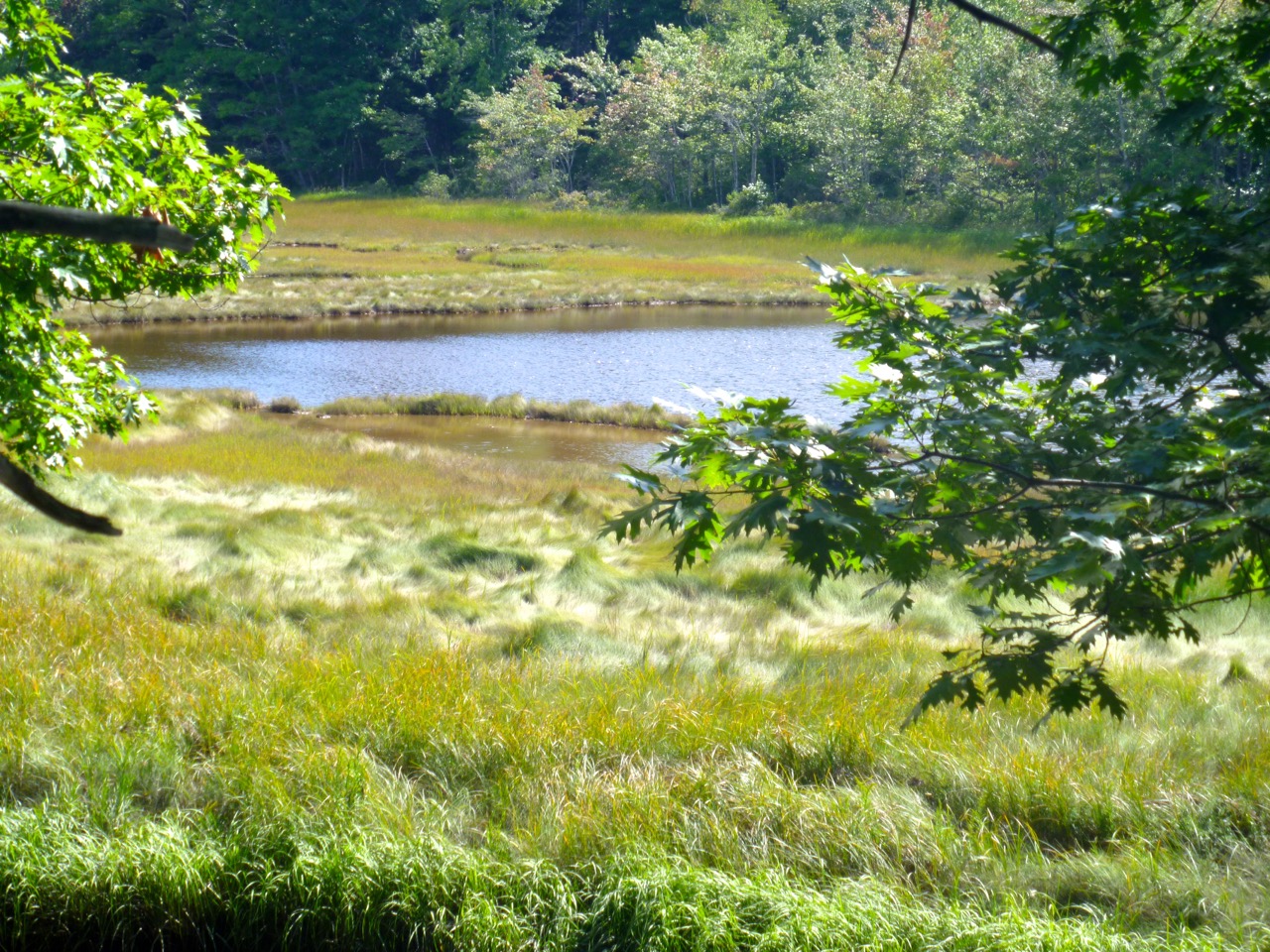 thegoodgarden|davidcalle|rachelcarsontrail|maine0402.jpg