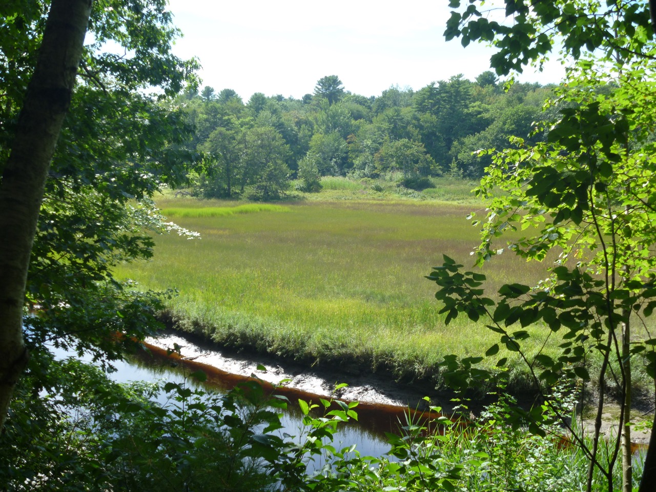 thegoodgarden|davidcalle|rachelcarsontrail|maine0389.jpg