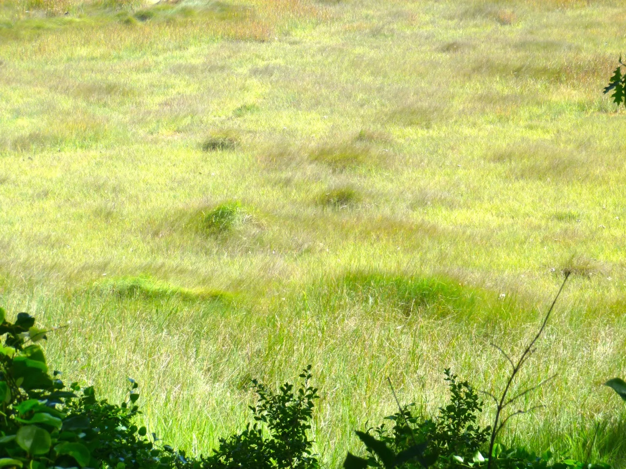thegoodgarden|davidcalle|rachelcarsontrail|maine0394.jpg
