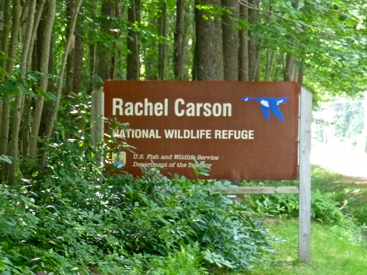 A sign marks the entrance to the 1-mile Rachel Carson Trail. The walk guides visitors through many of the ecosystems that comprise the southern Maine shoreline and that inspired Carson.