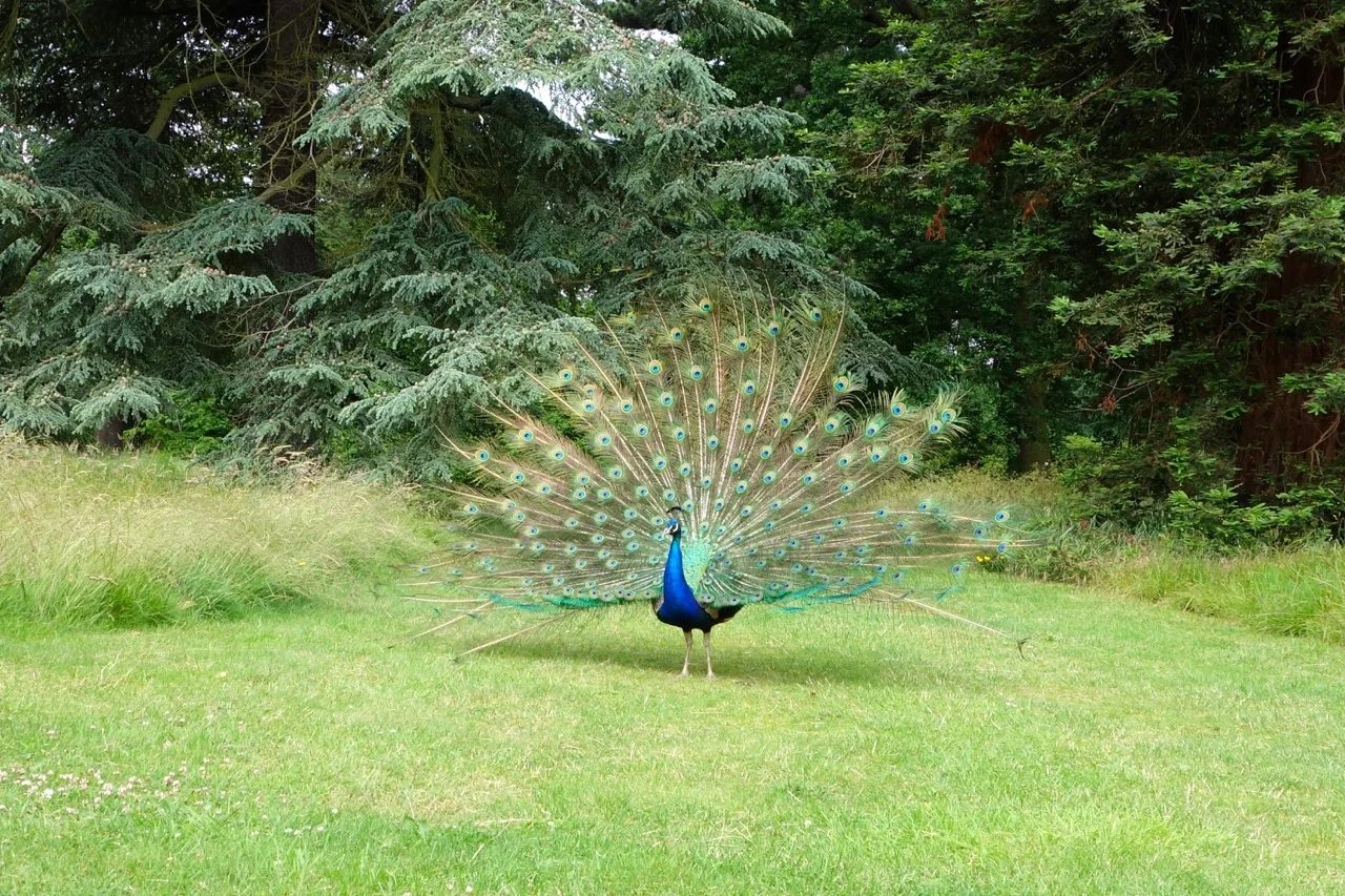 thegoodgarden|kewgarden|london|03232.jpg
