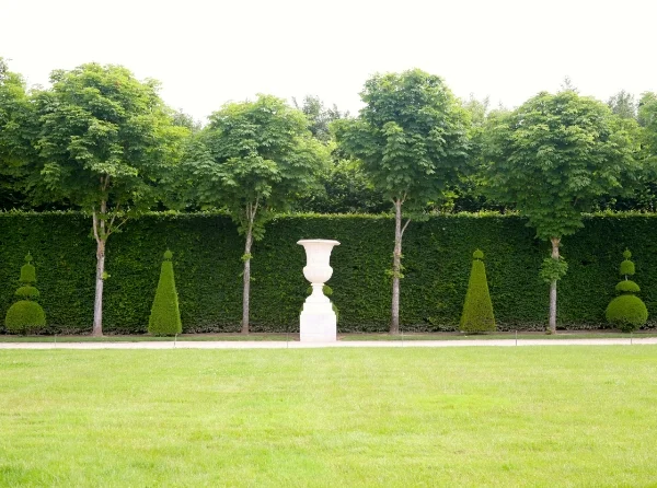 Garden bling