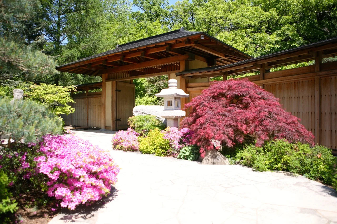 thegoodgarden|davidcalle|andersonjapanesegardens|6441.jpg