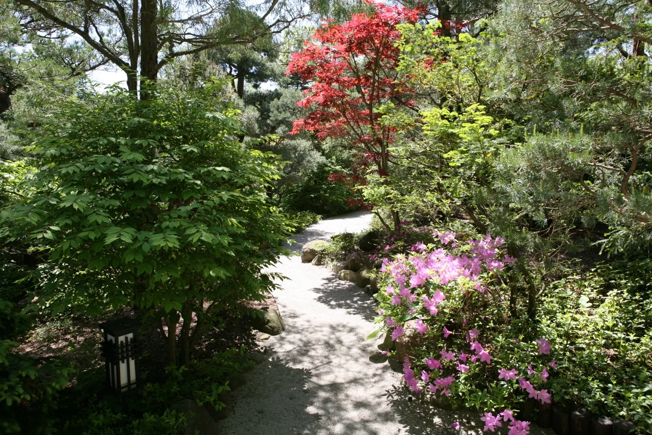 thegoodgarden|davidcalle|andersonjapanesegardens|6586.jpg