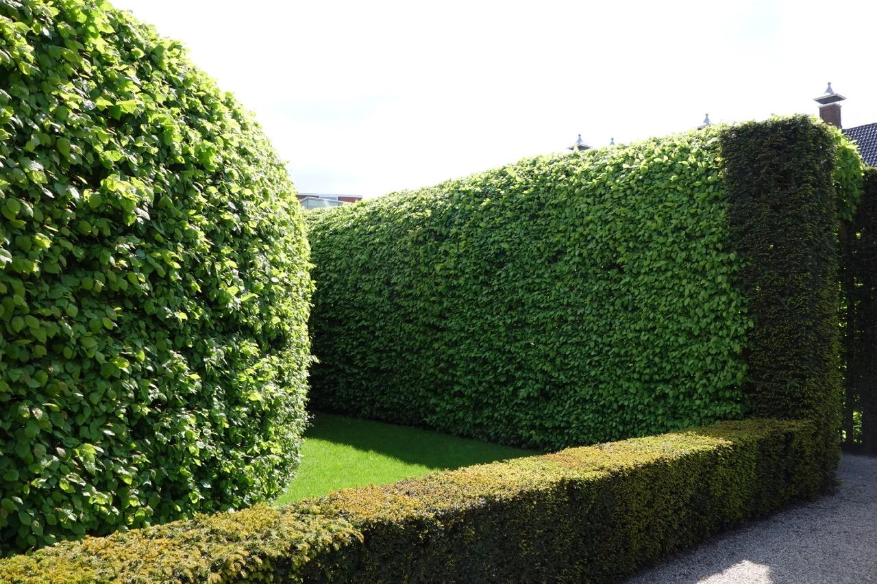 thegoodgarden|groningen|cloister||02222.jpg