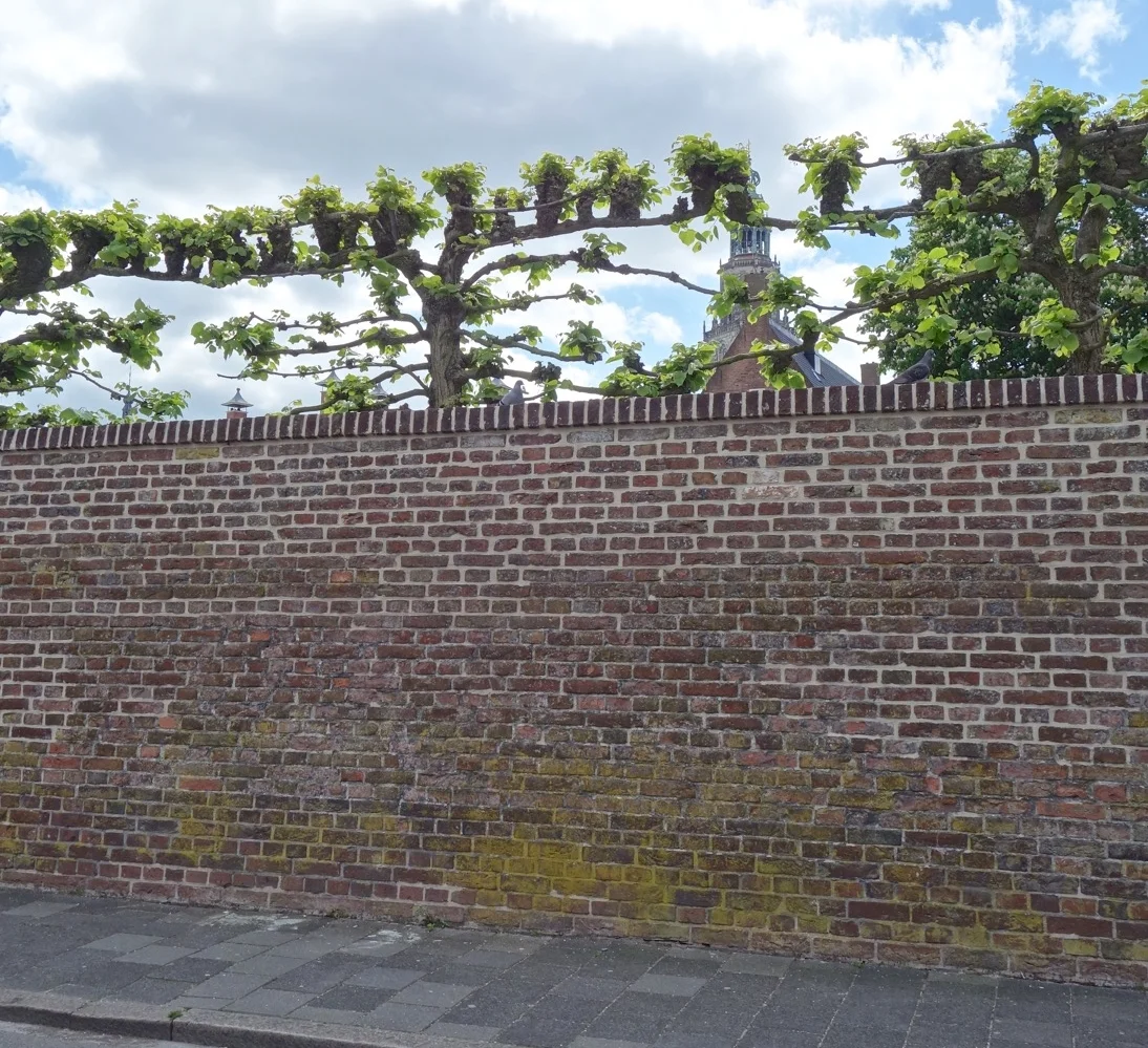 thegoodgarden|groningen|cloister||02285.jpg