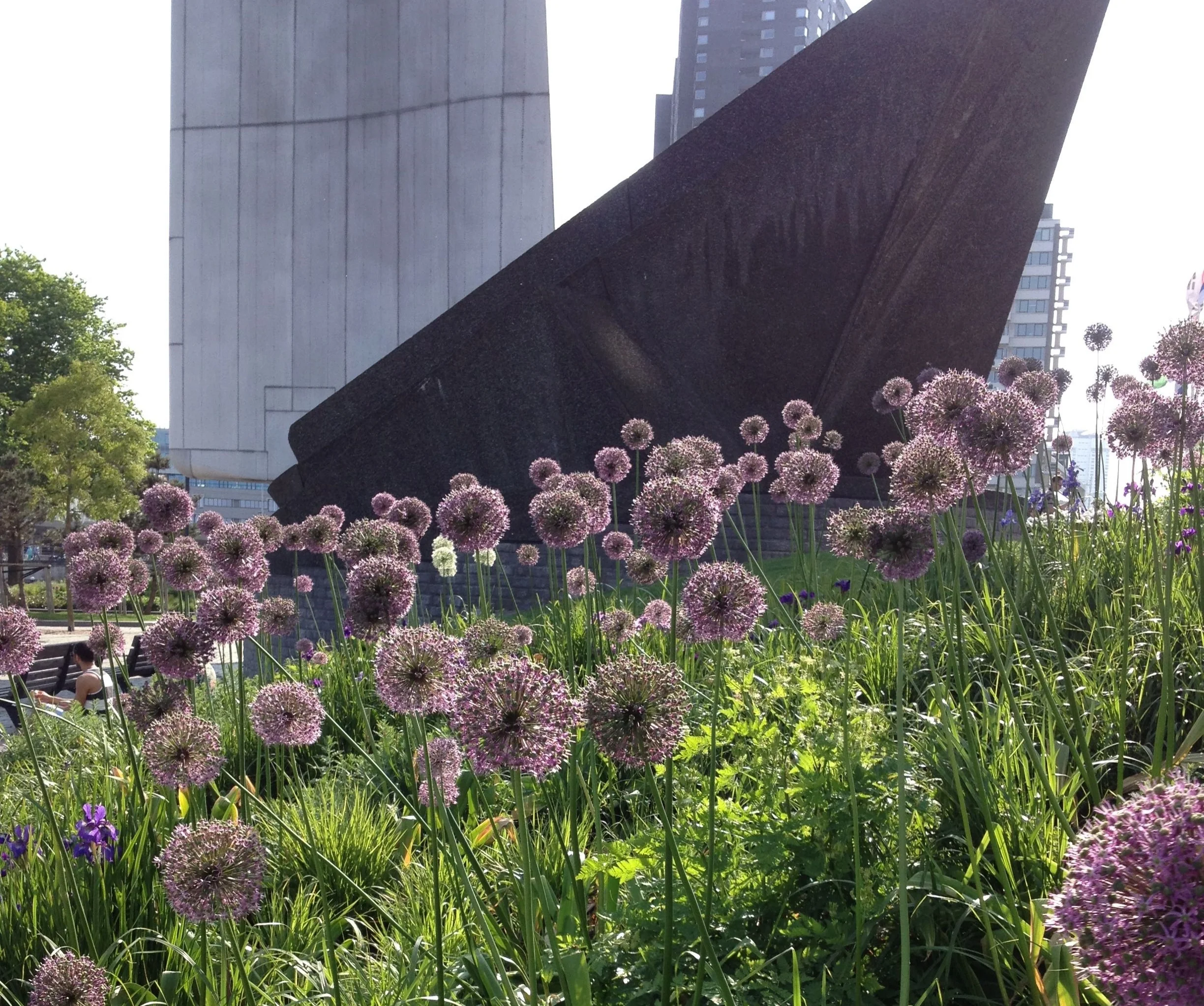 thegoodgarden|Rotterdam|MaasRiverfront|2565.jpg