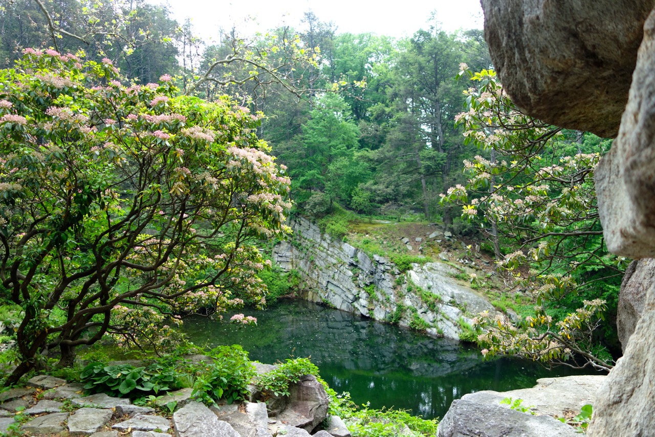 thegoodgarden|davidcalle|manitoga|02678.jpg