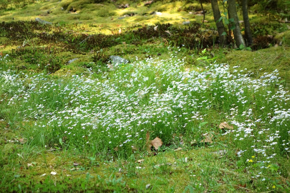 thegoodgarden|davidcalle|manitoga|02598.jpg