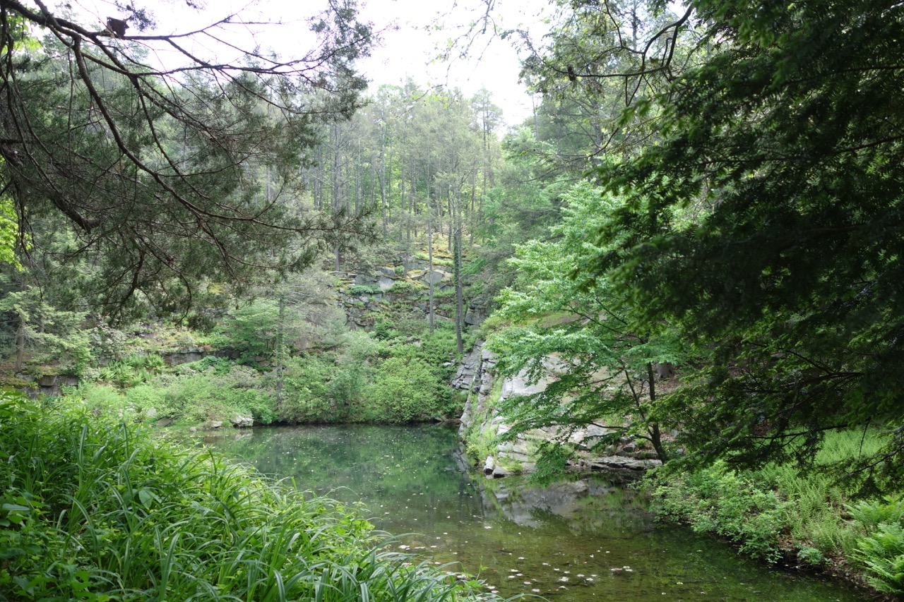 thegoodgarden|davidcalle|manitoga|02706.jpg