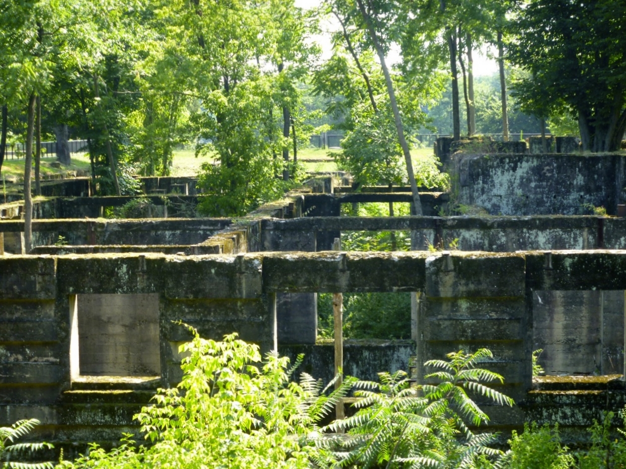 davidcalle|thegoodgarden|dukefarms0611.jpg