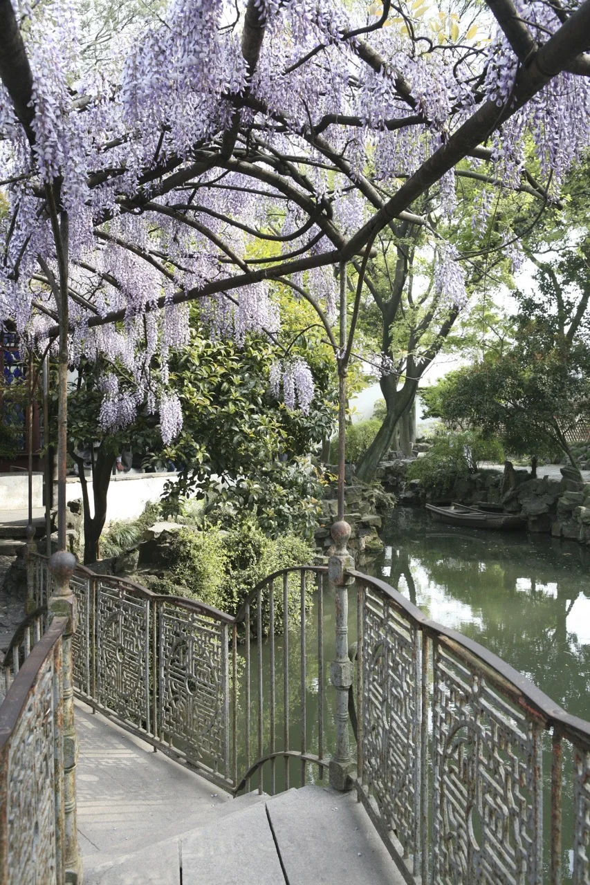 thegoodgarden|Suzhou|humbleadministratorsgarden|5133.jpg