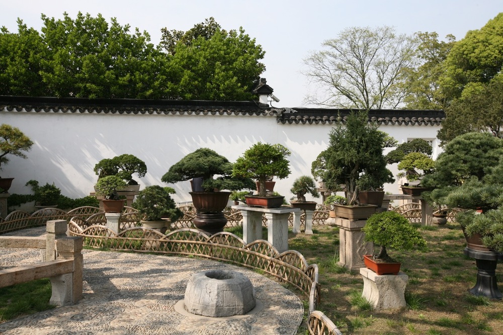 thegoodgarden|Suzhou|humbleadministratorsgarden|5063.jpg